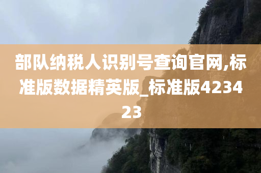 部队纳税人识别号查询官网,标准版数据精英版_标准版423423