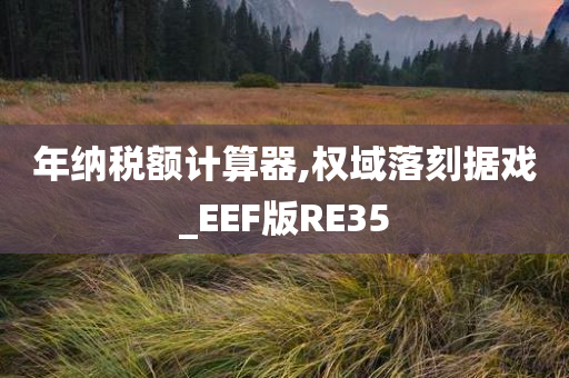 年纳税额计算器,权域落刻据戏_EEF版RE35