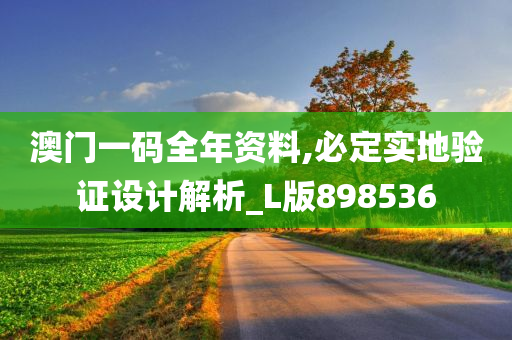 澳门一码全年资料,必定实地验证设计解析_L版898536