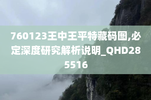 760123王中王平特藏码图,必定深度研究解析说明_QHD285516