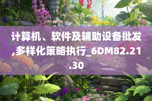 计算机、软件及辅助设备批发,多样化策略执行_6DM82.21.30