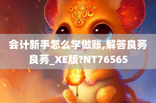 会计新手怎么学做账,解答良莠良莠_XE版?NT76565