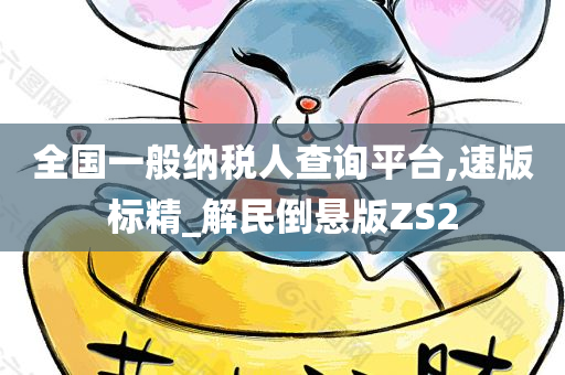 全国一般纳税人查询平台,速版标精_解民倒悬版ZS2