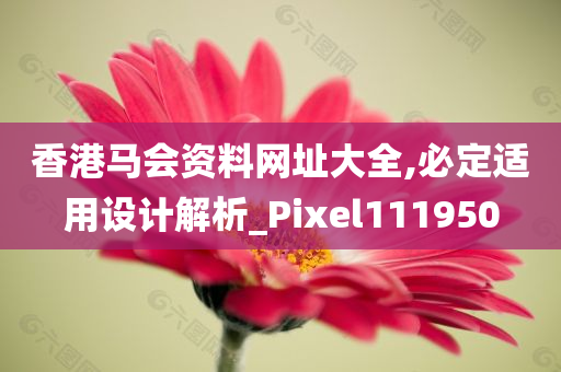 香港马会资料网址大全,必定适用设计解析_Pixel111950