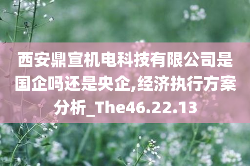 西安鼎宣机电科技有限公司是国企吗还是央企,经济执行方案分析_The46.22.13