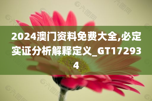 2024澳门资料免费大全,必定实证分析解释定义_GT172934