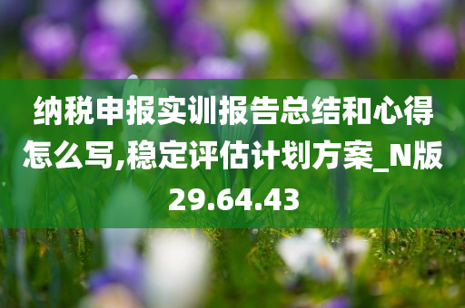 纳税申报实训报告总结和心得怎么写,稳定评估计划方案_N版29.64.43