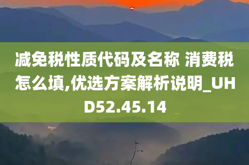 减免税性质代码及名称 消费税怎么填,优选方案解析说明_UHD52.45.14