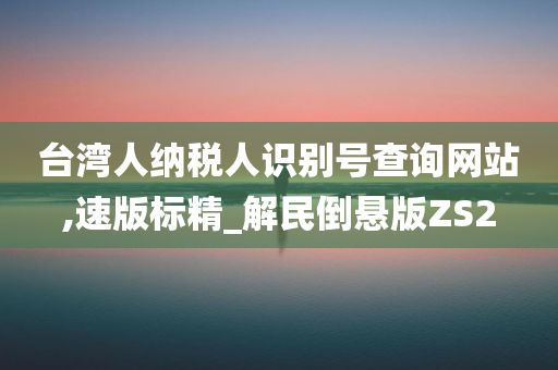 台湾人纳税人识别号查询网站,速版标精_解民倒悬版ZS2