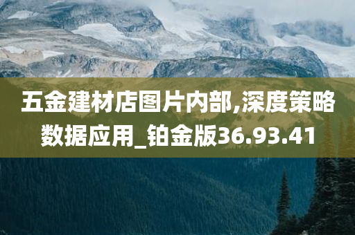 五金建材店图片内部,深度策略数据应用_铂金版36.93.41