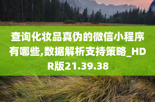 查询化妆品真伪的微信小程序有哪些,数据解析支持策略_HDR版21.39.38