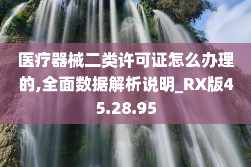 医疗器械二类许可证怎么办理的,全面数据解析说明_RX版45.28.95