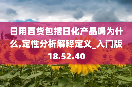 日用百货包括日化产品吗为什么,定性分析解释定义_入门版18.52.40