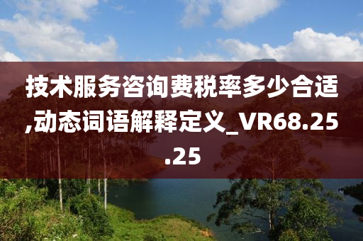 技术服务咨询费税率多少合适,动态词语解释定义_VR68.25.25