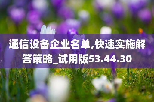 通信设备企业名单,快速实施解答策略_试用版53.44.30