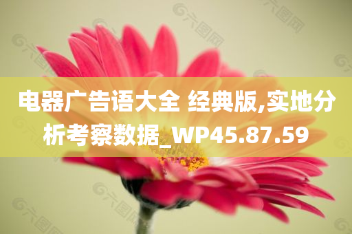 电器广告语大全 经典版,实地分析考察数据_WP45.87.59