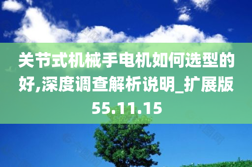 关节式机械手电机如何选型的好,深度调查解析说明_扩展版55.11.15