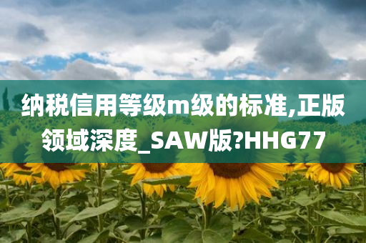 纳税信用等级m级的标准,正版领域深度_SAW版?HHG77