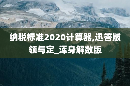 纳税标准2020计算器,迅答版领与定_浑身解数版