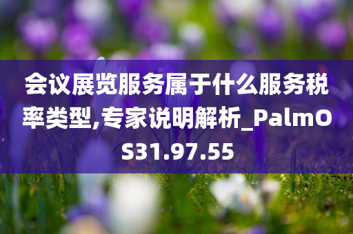 会议展览服务属于什么服务税率类型,专家说明解析_PalmOS31.97.55