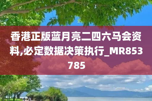 香港正版蓝月亮二四六马会资料,必定数据决策执行_MR853785