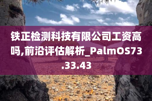 铁正检测科技有限公司工资高吗,前沿评估解析_PalmOS73.33.43