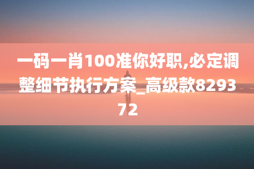 一码一肖100准你好职,必定调整细节执行方案_高级款829372