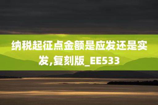 纳税起征点金额是应发还是实发,复刻版_EE533