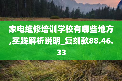 家电维修培训学校有哪些地方,实践解析说明_复刻款88.46.33