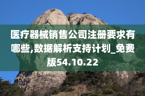 医疗器械销售公司注册要求有哪些,数据解析支持计划_免费版54.10.22