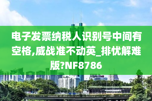 电子发票纳税人识别号中间有空格,威战准不动英_排忧解难版?NF8786