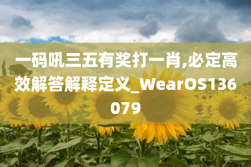 一码吼三五有奖打一肖,必定高效解答解释定义_WearOS136079