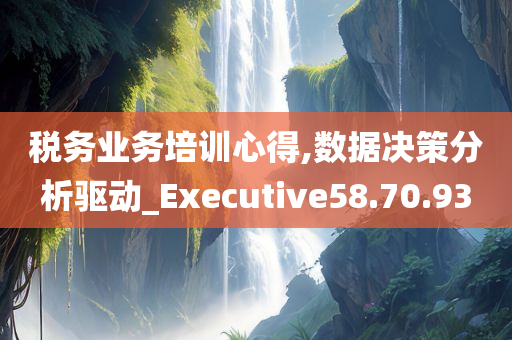 税务业务培训心得,数据决策分析驱动_Executive58.70.93