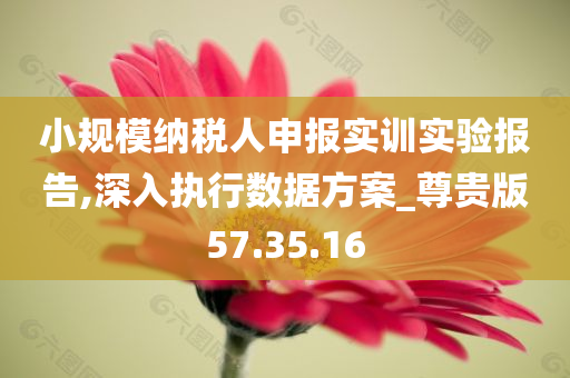 小规模纳税人申报实训实验报告,深入执行数据方案_尊贵版57.35.16