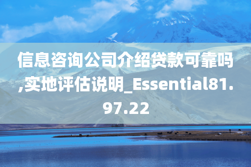 信息咨询公司介绍贷款可靠吗,实地评估说明_Essential81.97.22