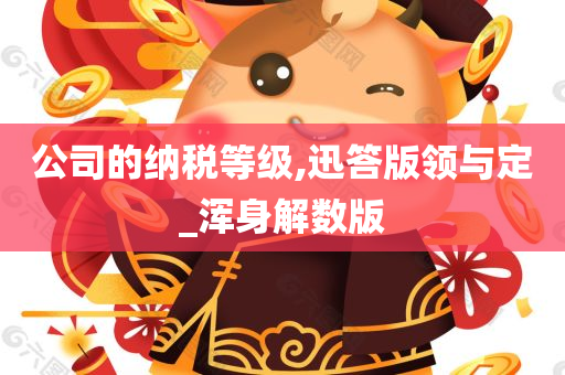 公司的纳税等级,迅答版领与定_浑身解数版