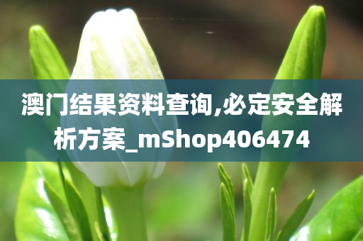 澳门结果资料查询,必定安全解析方案_mShop406474