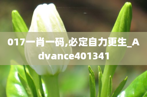 017一肖一码,必定自力更生_Advance401341