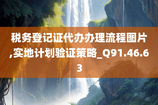 税务登记证代办办理流程图片,实地计划验证策略_Q91.46.63