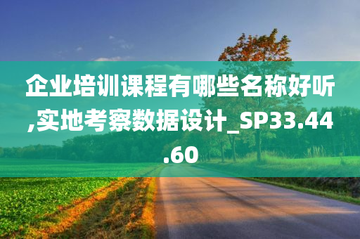 企业培训课程有哪些名称好听,实地考察数据设计_SP33.44.60