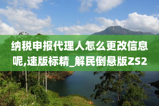 纳税申报代理人怎么更改信息呢,速版标精_解民倒悬版ZS2