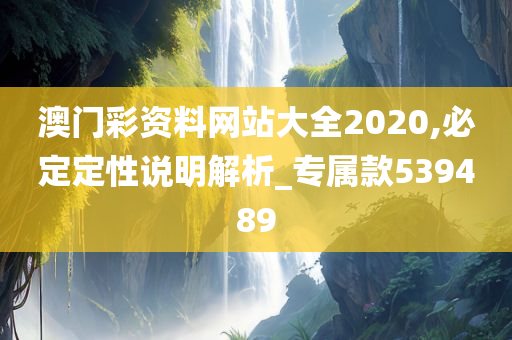 澳门彩资料网站大全2020,必定定性说明解析_专属款539489