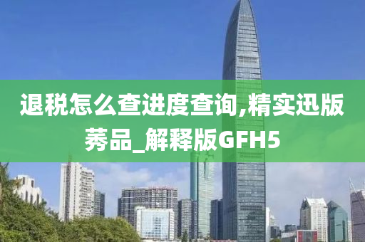 退税怎么查进度查询,精实迅版莠品_解释版GFH5