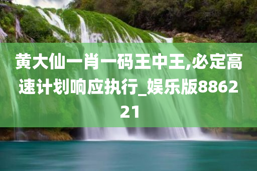 黄大仙一肖一码王中王,必定高速计划响应执行_娱乐版886221