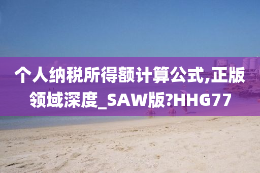 个人纳税所得额计算公式,正版领域深度_SAW版?HHG77