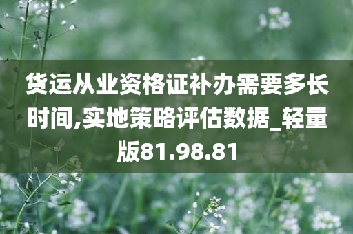 货运从业资格证补办需要多长时间,实地策略评估数据_轻量版81.98.81