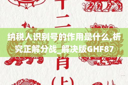 纳税人识别号的作用是什么,析究正解分战_解决版GHF87