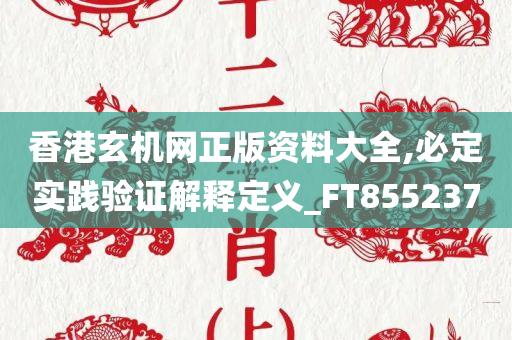 香港玄机网正版资料大全,必定实践验证解释定义_FT855237