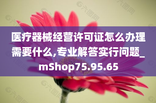 医疗器械经营许可证怎么办理需要什么,专业解答实行问题_mShop75.95.65