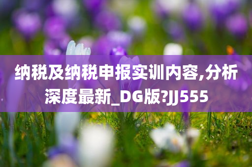 纳税及纳税申报实训内容,分析深度最新_DG版?JJ555